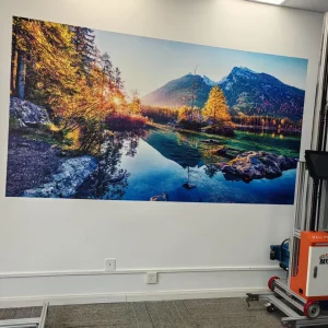 Machine d’impression murale verticale à encre UV, longueur/largeur illimitée, imprimante murale AI 4K, séparation et positionnement automatiques des Images – AliExpress 13